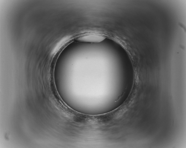 X0000099400199200805151713