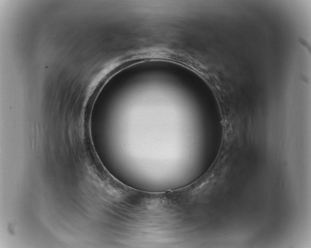 X0000099400200200805151713