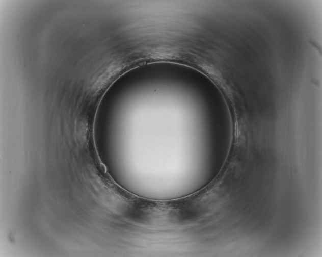 X0000099400201200805151713