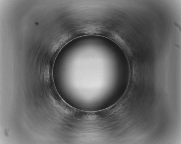 X0000099400202200805151713