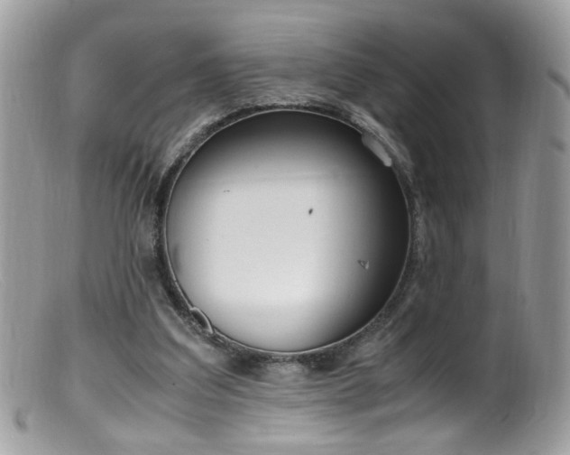 X0000099400203200805151713