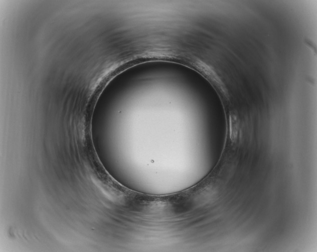 X0000099400204200805151713