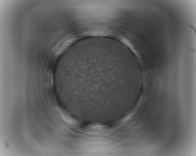 X0000099400205200805151713