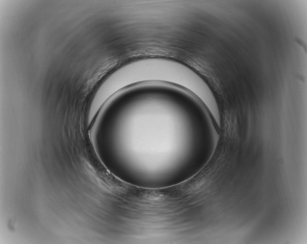 X0000099400206200805151713