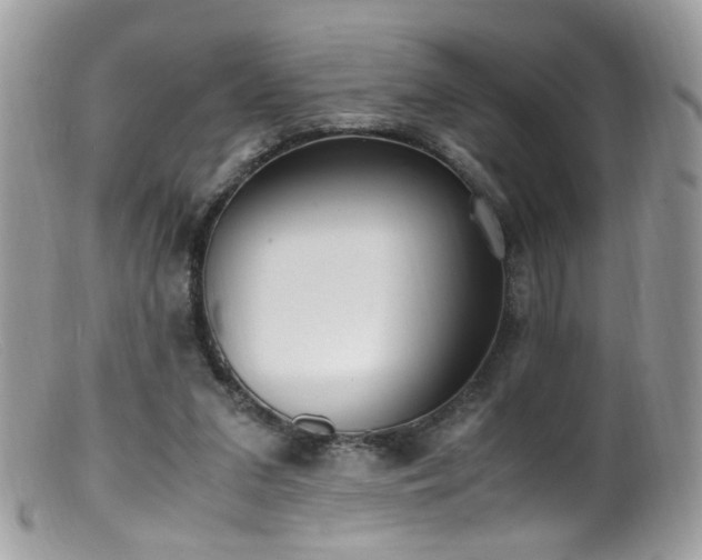 X0000099400207200805151713