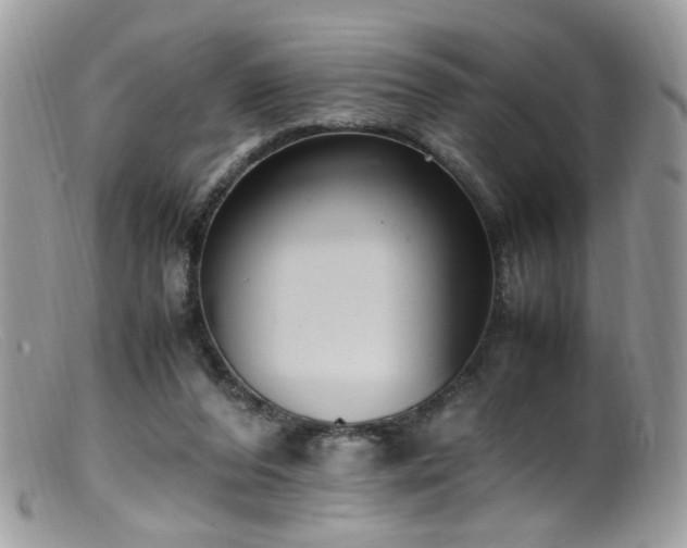 X0000099400208200805151713