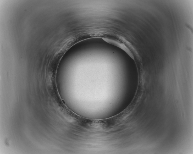 X0000099400209200805151713