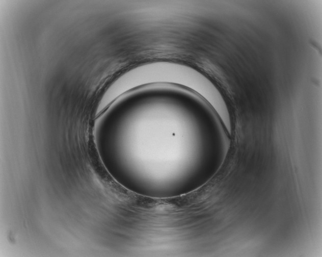 X0000099400210200805151713