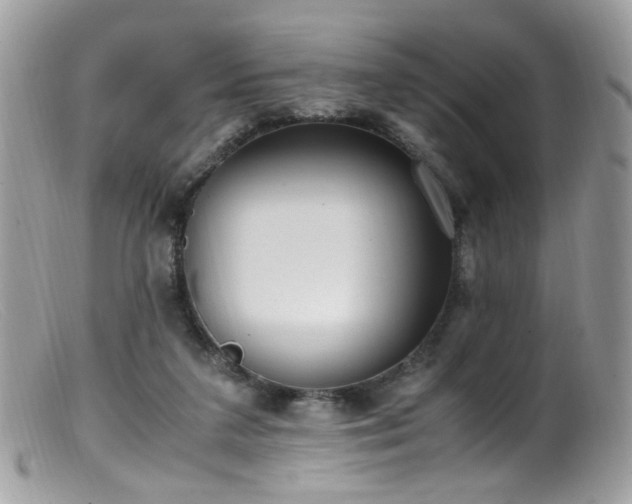 X0000099400211200805151713