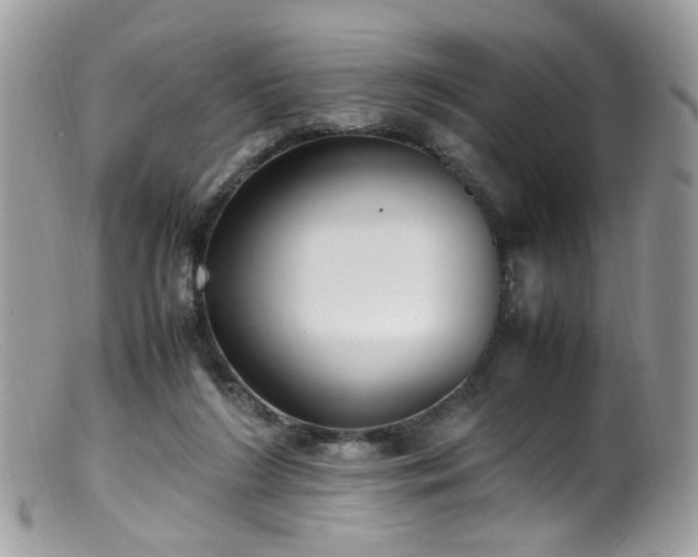 X0000099400212200805151713