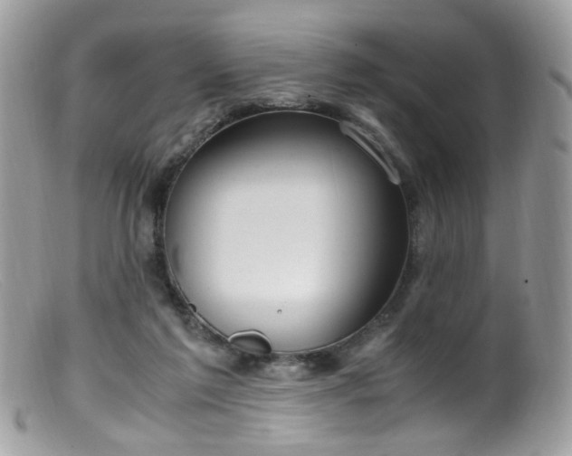 X0000099400213200805151713