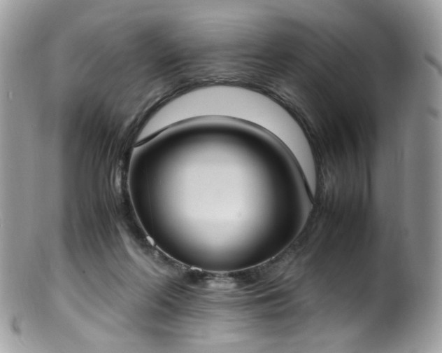 X0000099400214200805151713