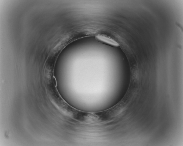 X0000099400215200805151713