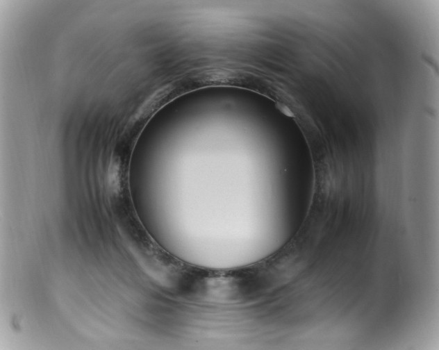 X0000099400216200805151713