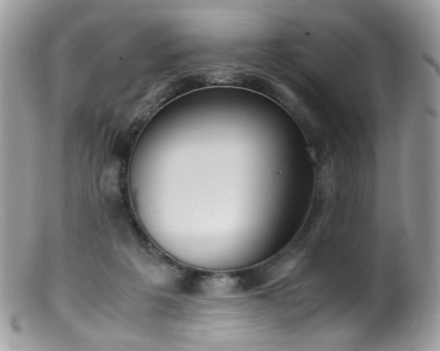 X0000099400217200805151713