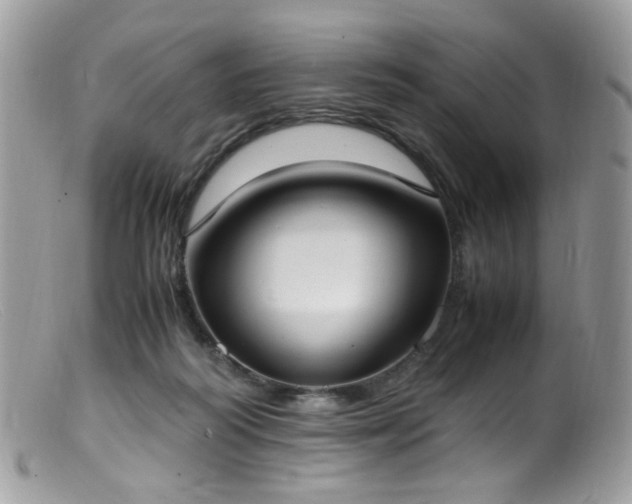 X0000099400218200805151713