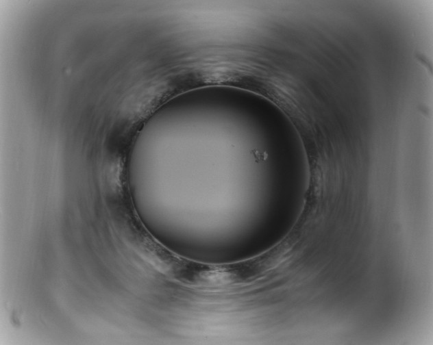 X0000099400219200805151713