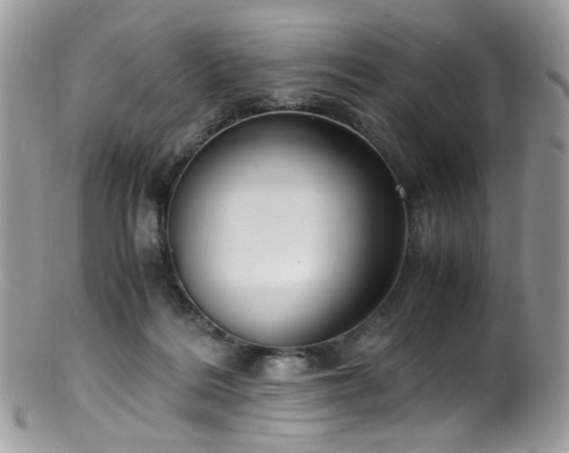 X0000099400220200805151713