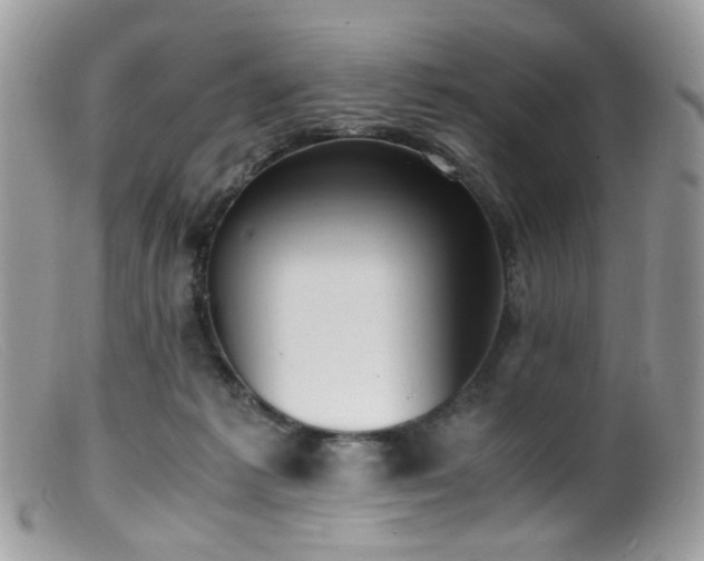 X0000099400221200805151713