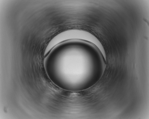 X0000099400222200805151713