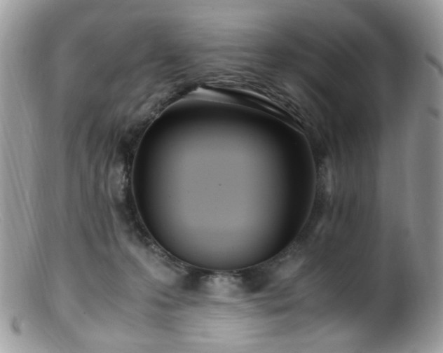 X0000099400223200805151713