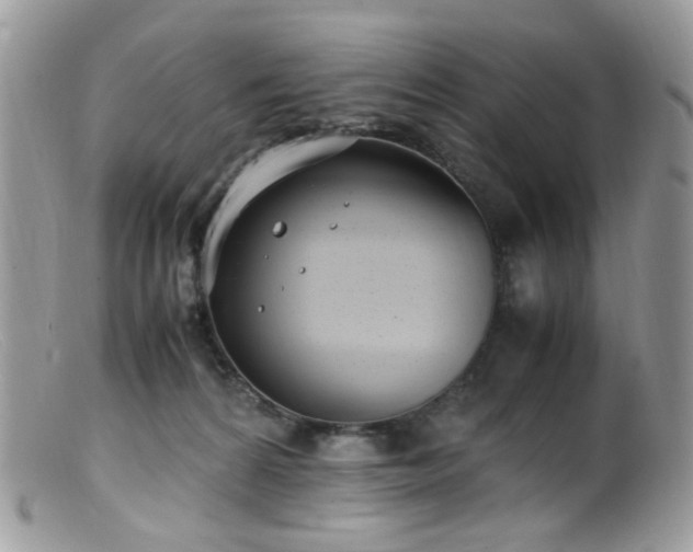 X0000099400224200805151713