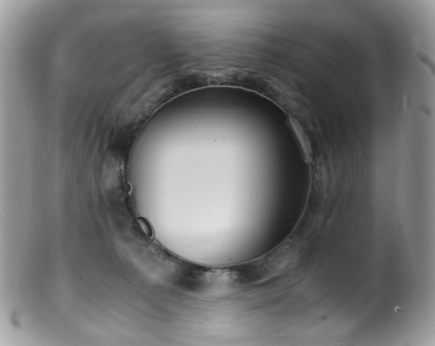 X0000099400225200805151713