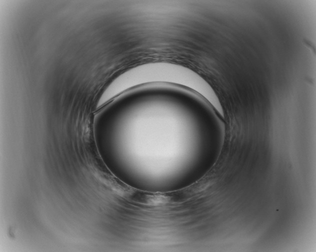 X0000099400226200805151713