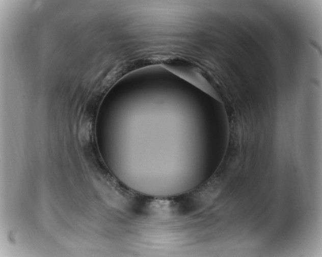 X0000099400227200805151713