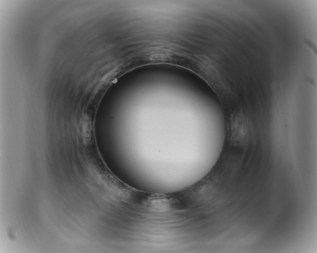 X0000099400228200805151713