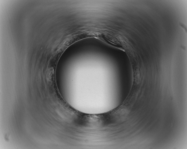 X0000099400229200805151713