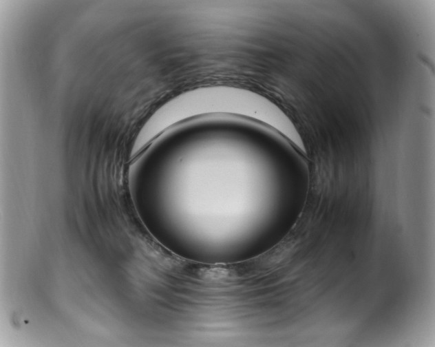 X0000099400230200805151712