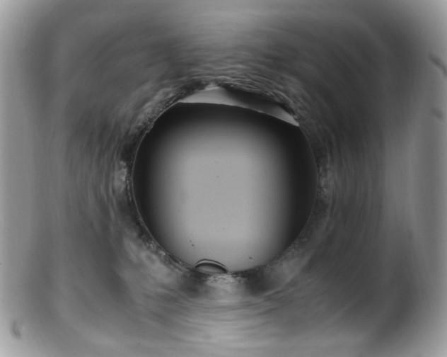 X0000099400231200805151712