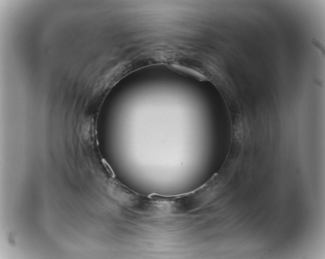 X0000099400233200805151712