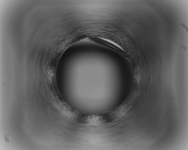 X0000099400235200805151712