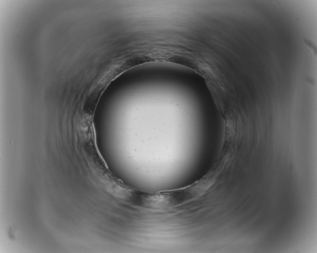 X0000099400237200805151712