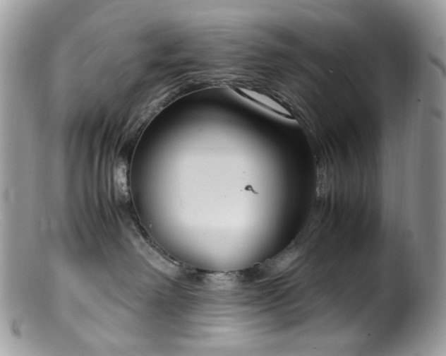 X0000099400238200805151712