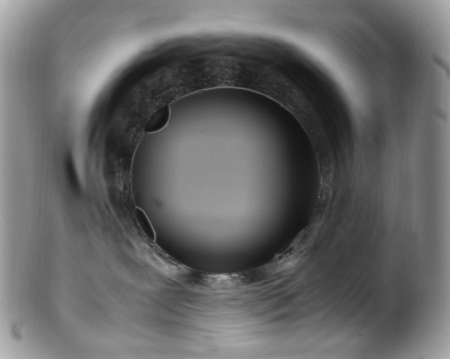 X0000099400239200805151712