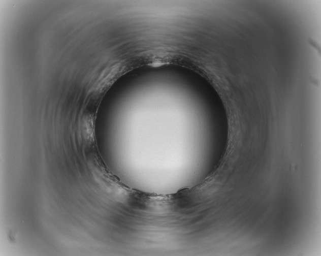 X0000099400240200805151712