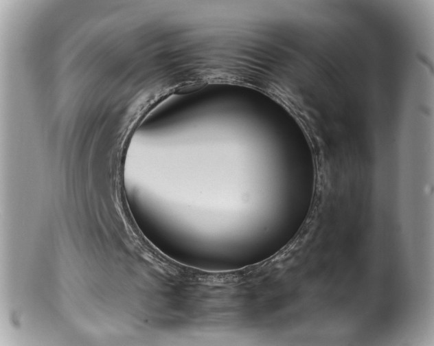 X0000099400241200805151712