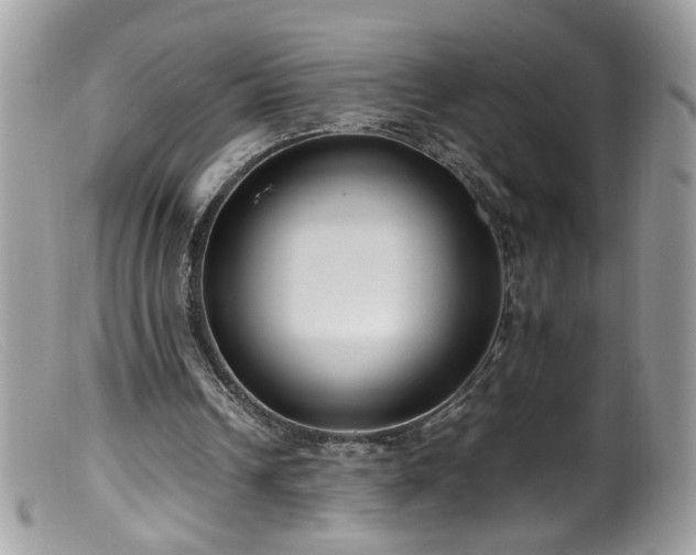 X0000099400242200805151712