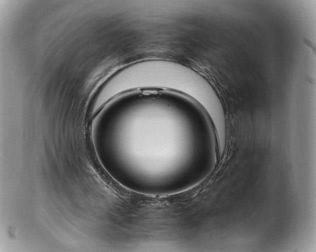 X0000099400243200805151712