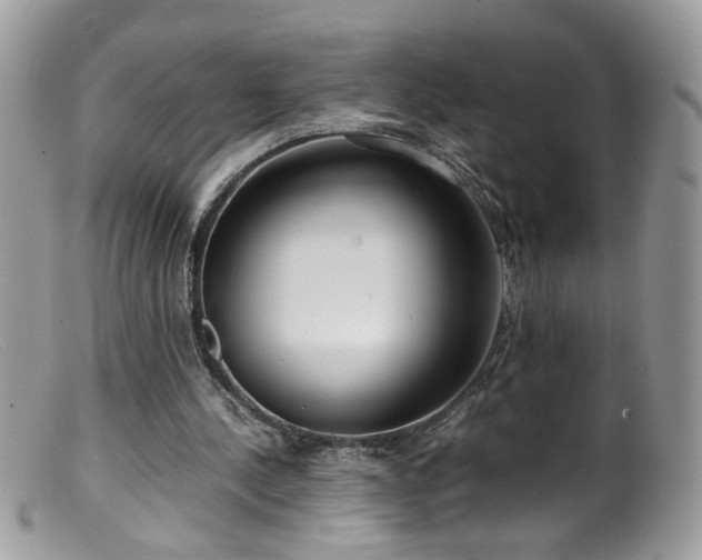 X0000099400244200805151712