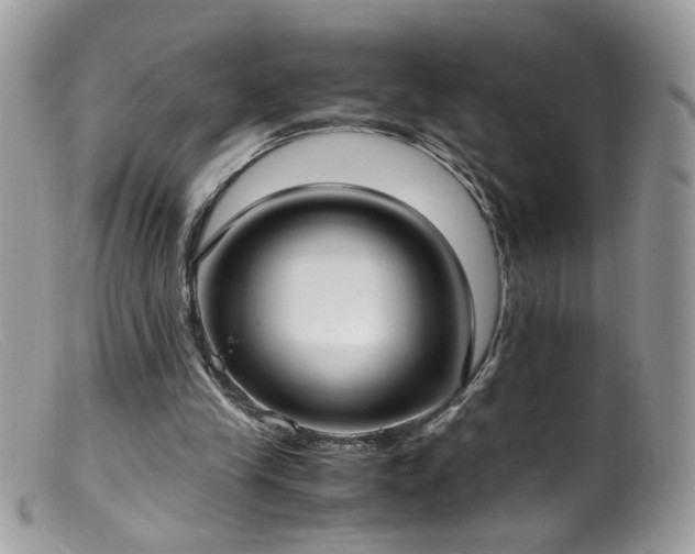 X0000099400245200805151712