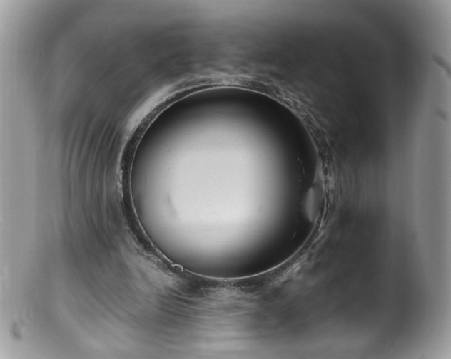 X0000099400246200805151712