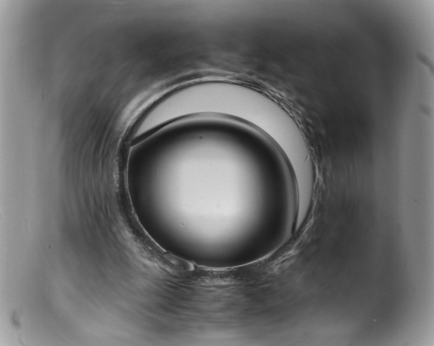 X0000099400247200805151712