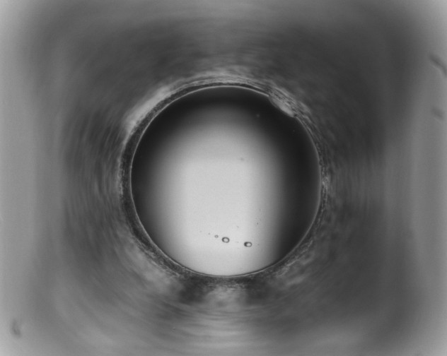 X0000099400248200805151712