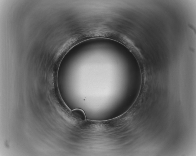 X0000099400250200805151712