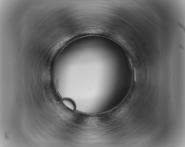 X0000099400252200805151712