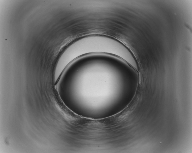 X0000099400253200805151712